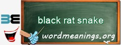 WordMeaning blackboard for black rat snake